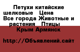 Петухи китайские шелковые › Цена ­ 1 000 - Все города Животные и растения » Птицы   . Крым,Армянск